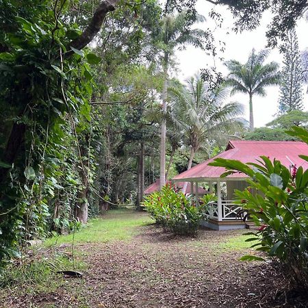 Evasion Bungalow D'Antan Spa Sarramea Exterior photo