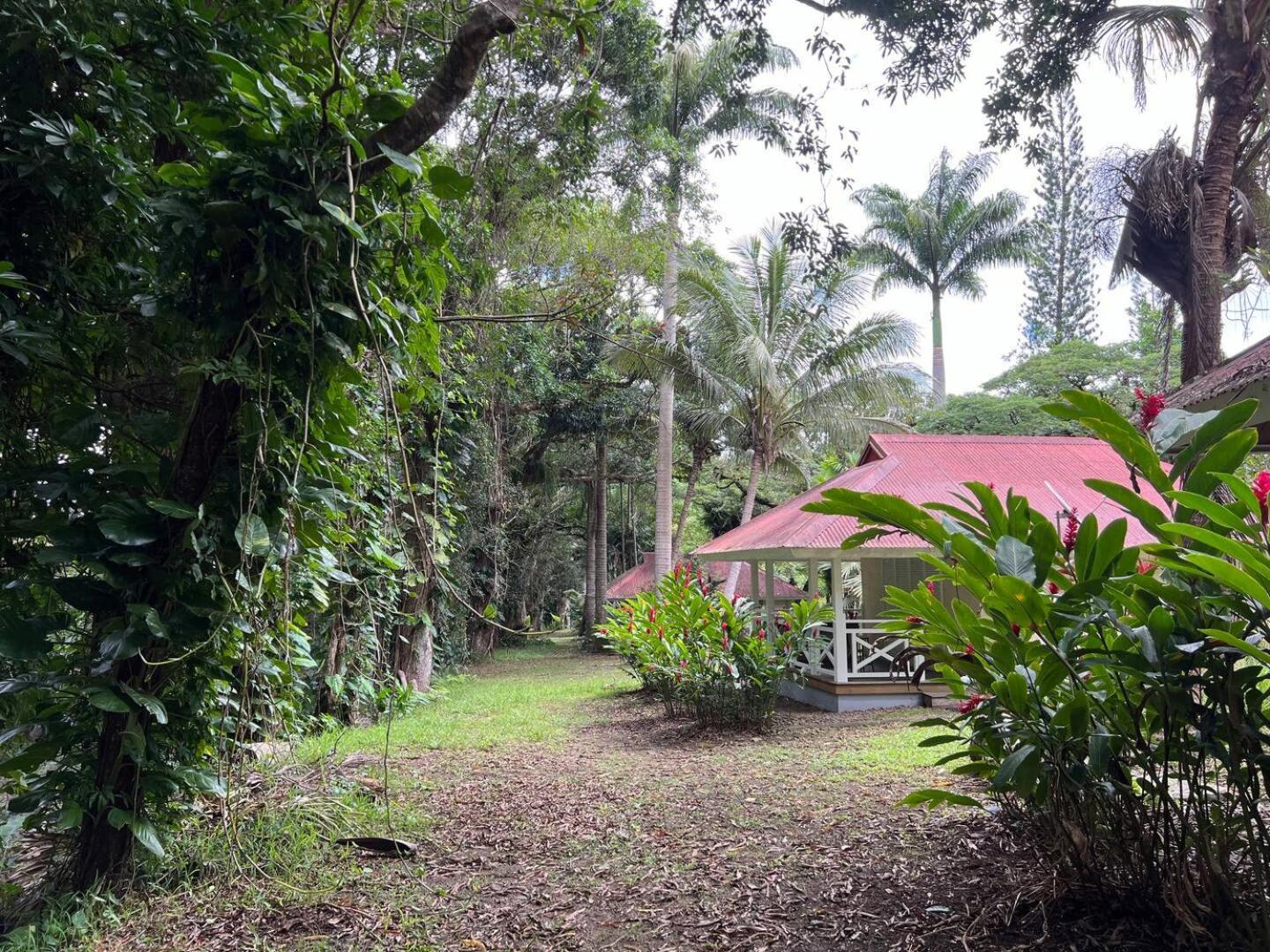 Evasion Bungalow D'Antan Spa Sarramea Exterior photo